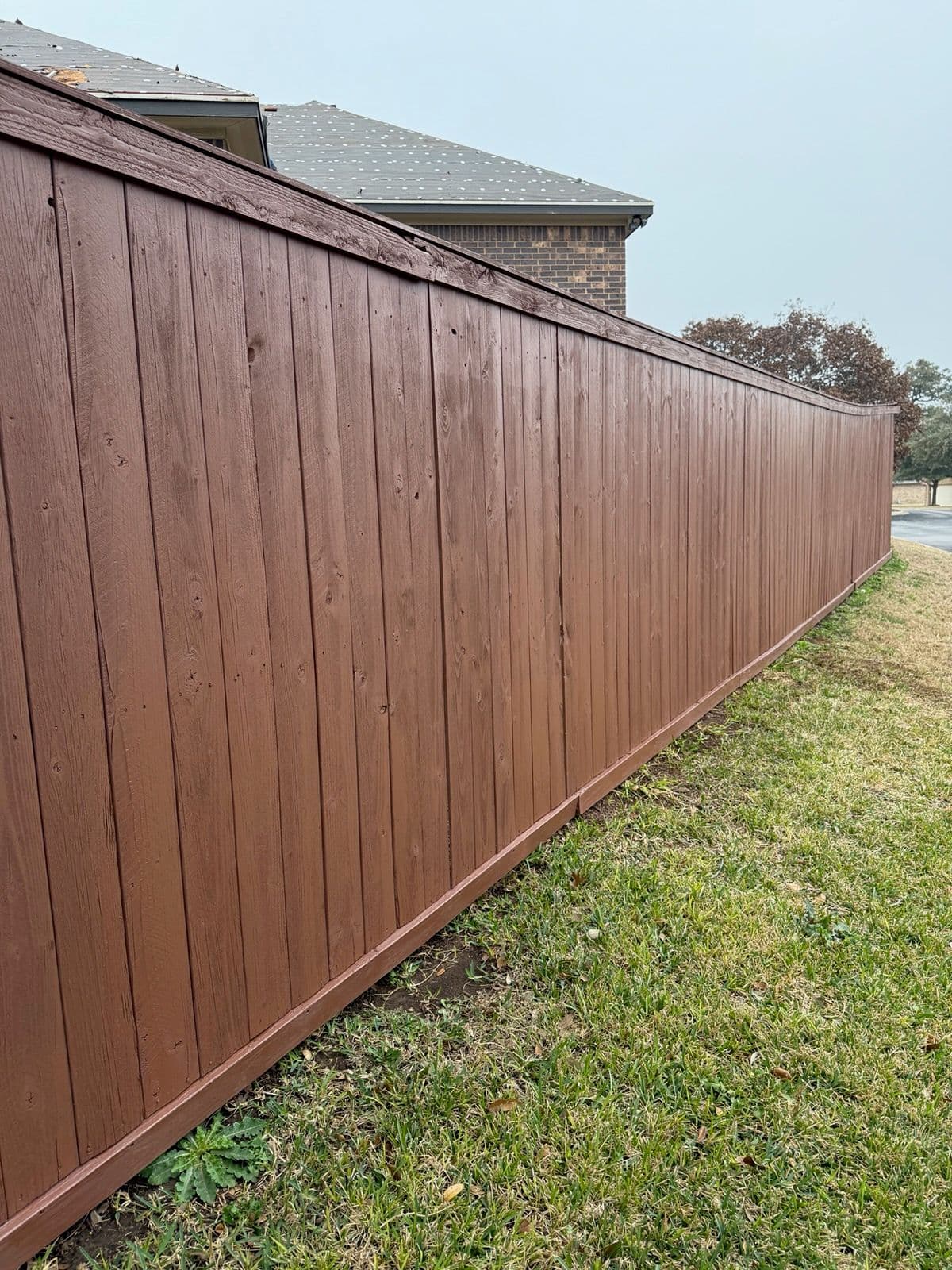 Revitalizing Fences for a Vibrant Home image